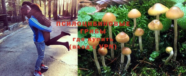 прущая мука Коряжма