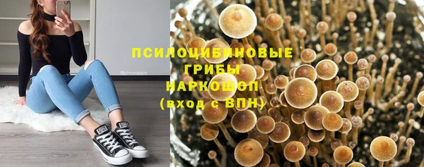 меф Козельск